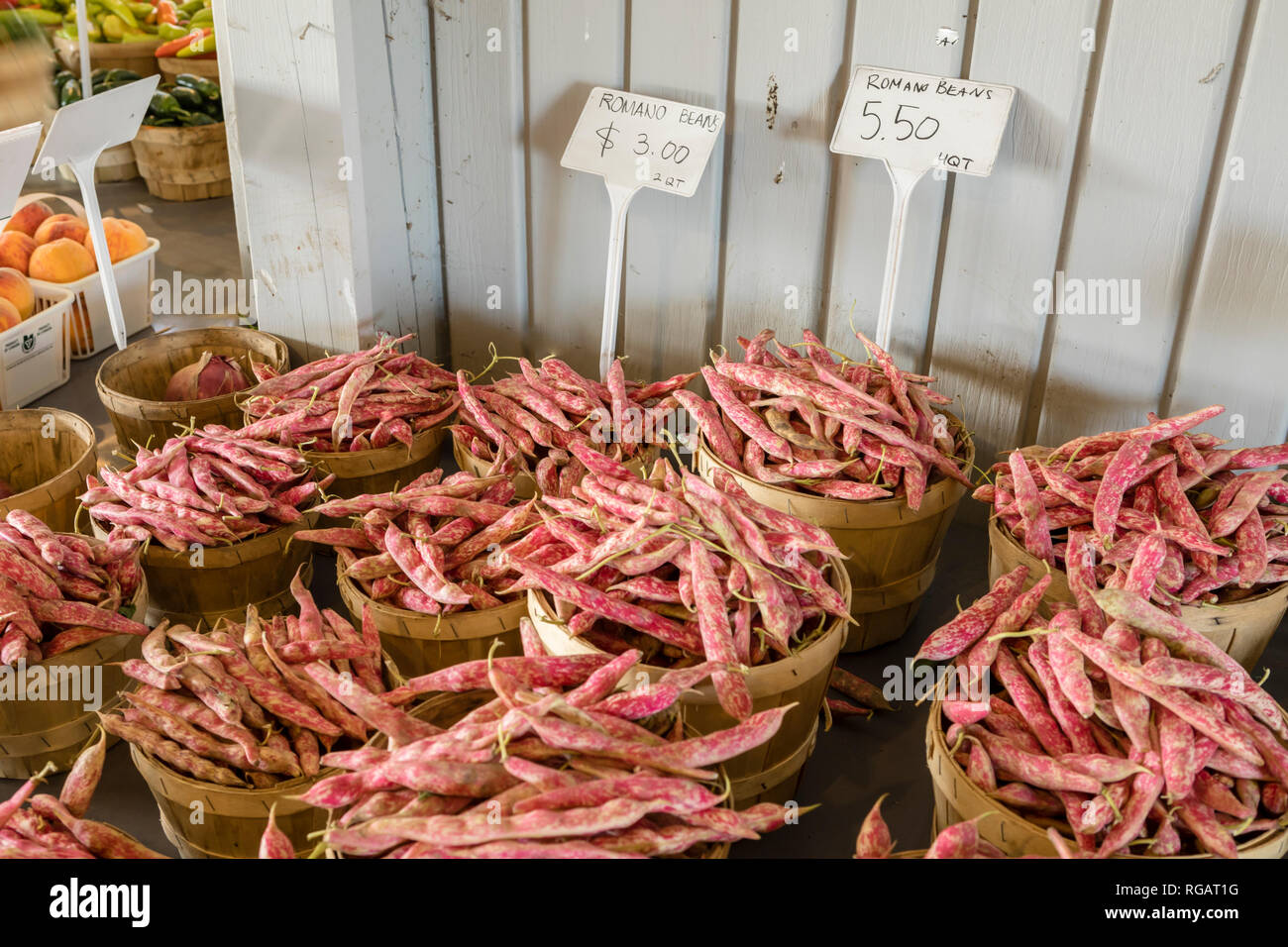Les haricots à écosser canneberge un marché de producteurs pour la vente par le boisseau. Banque D'Images