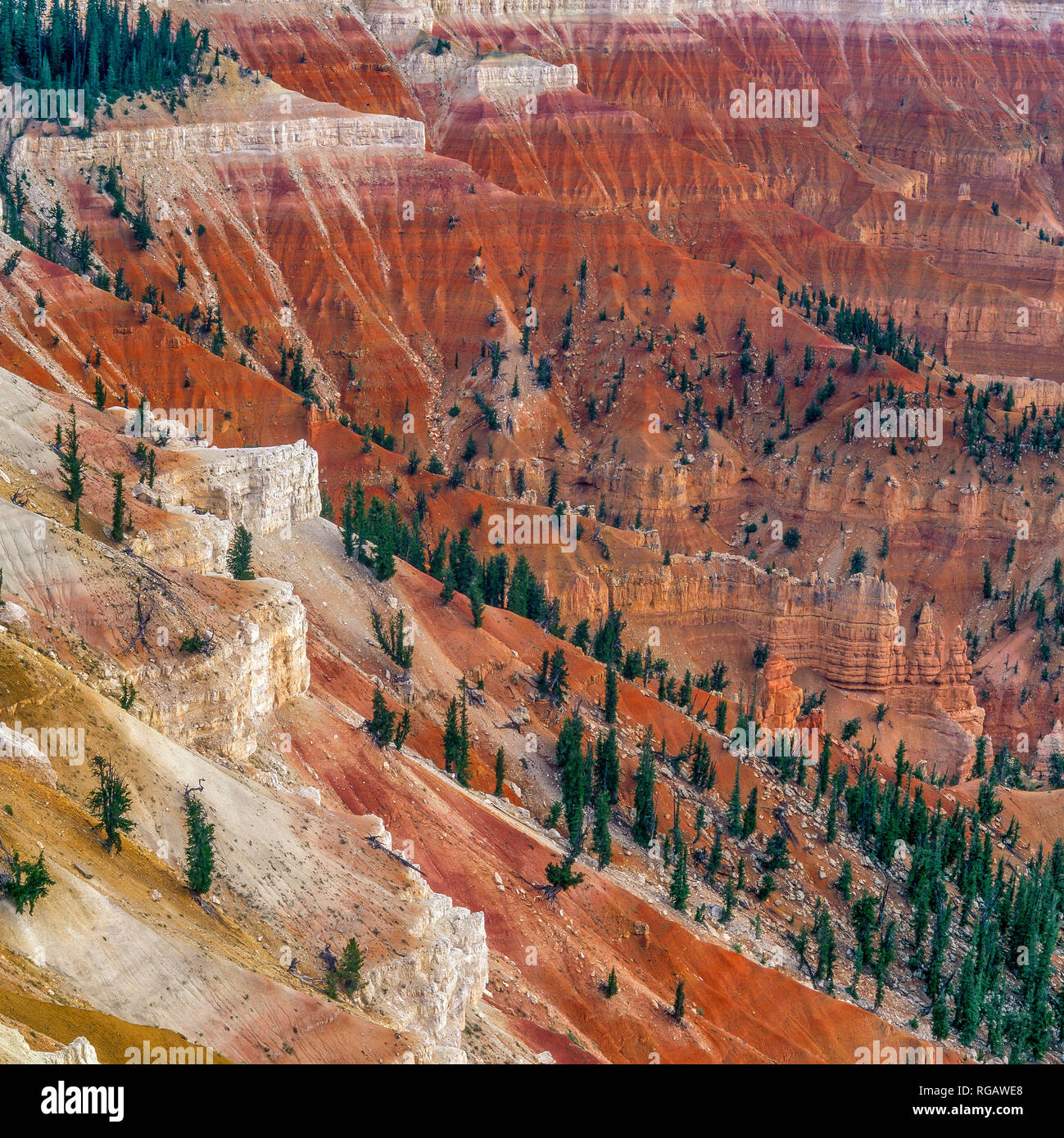 La jante, Cedar Breaks, Cedar Breaks National Monument (Utah) Banque D'Images