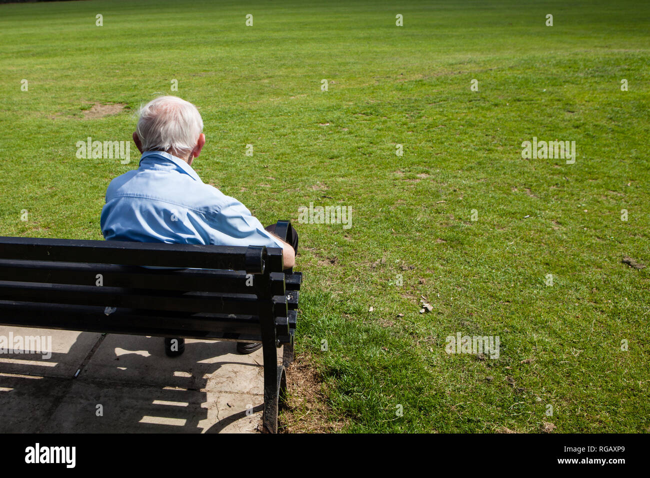Vieil homme sur un banc avec vue sur un parc en été Banque D'Images