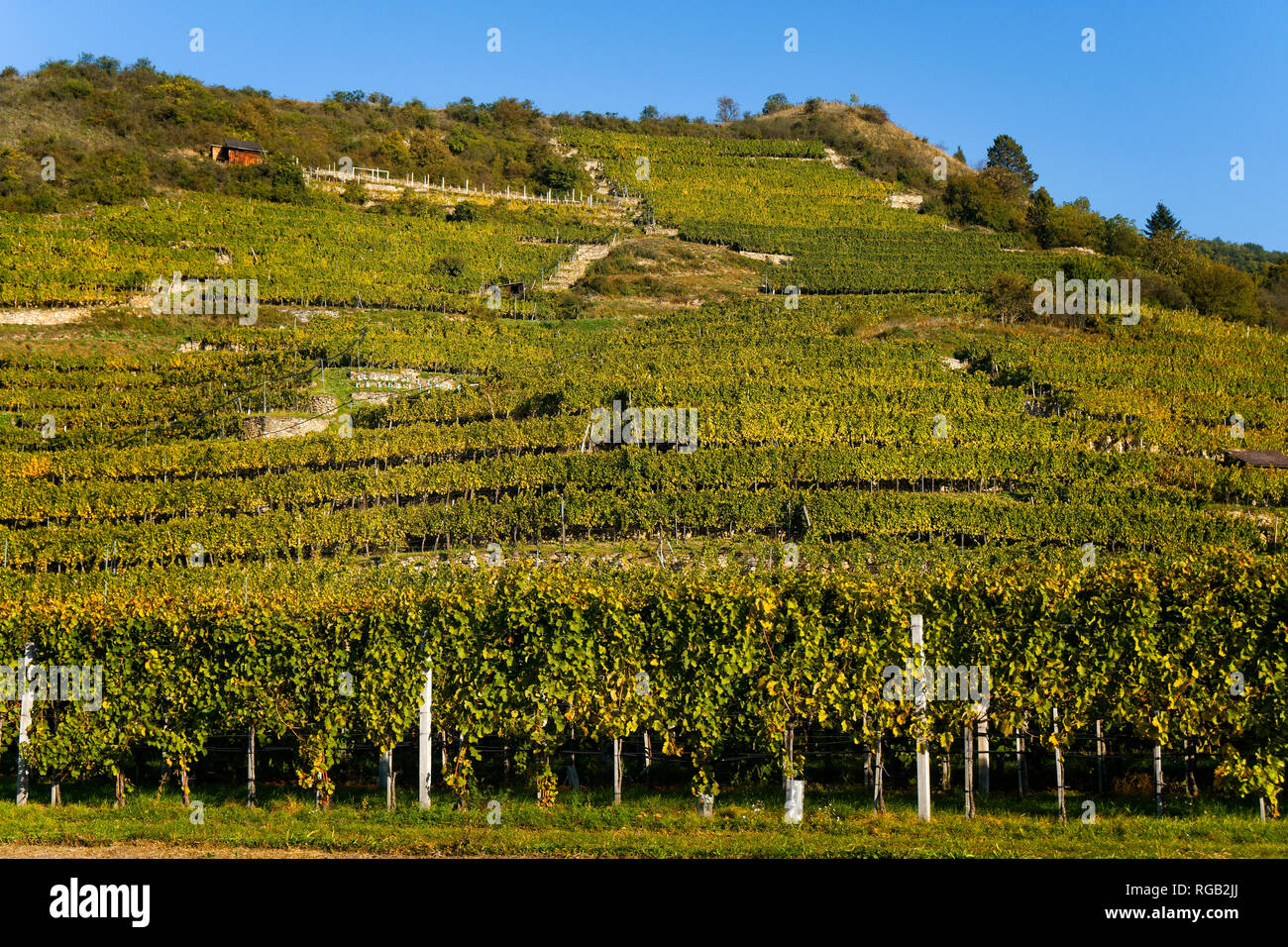 Durnstein sur les rives du Danube Autriche Banque D'Images