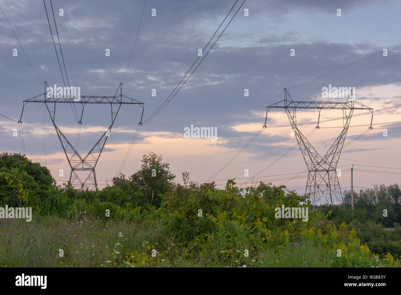 Twin power line tours dans un grand champ ouvert sur un jour nuageux pendant le coucher du soleil. Banque D'Images