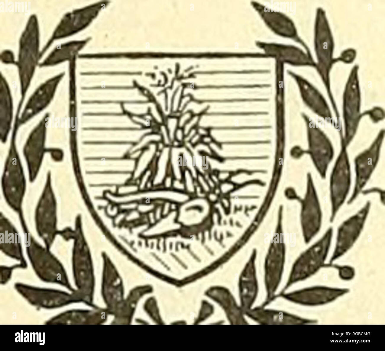 . Bulletin du Ministère de l'Agriculture des États-Unis. L'agriculture ; l'Agriculture. ,," BULLETIN n° 351 i Iff^ Contribution du Bureau international d'Entomologie,  Contribution du Bureau international d'Entomologie, L. O. HOWARD, Chef.. S'MHR^^u Washington, D. C. PAPIER PROFESSIONNEL. 22 avril 1916 Le restaurant Terrapin Grille :^ un ennemi de l'insecte de vergers de pêchers. Par F. L., SiMANTON Assistant Entomologie, insectes à feuilles caduques les enquêtes. Table des matières. La page. Introduction 1 Histoire 2 Distribution 2 importance économique 3 blessure 3 usines d'aliments de saison 4 Histoire 4 histoire de la vie 61 61 Mortalité Page. Accompagnateurs. 62 Pr Banque D'Images