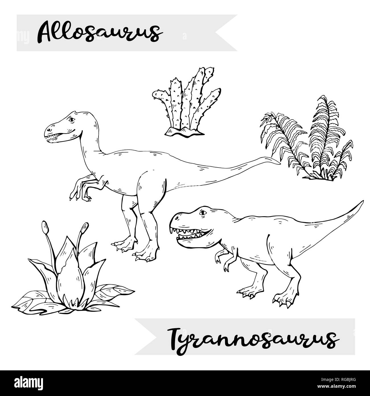 L'Allosaurus Tyrannosaurus et vecteur de l'usine et de la pierre sur fond blanc. Illustration de Vecteur