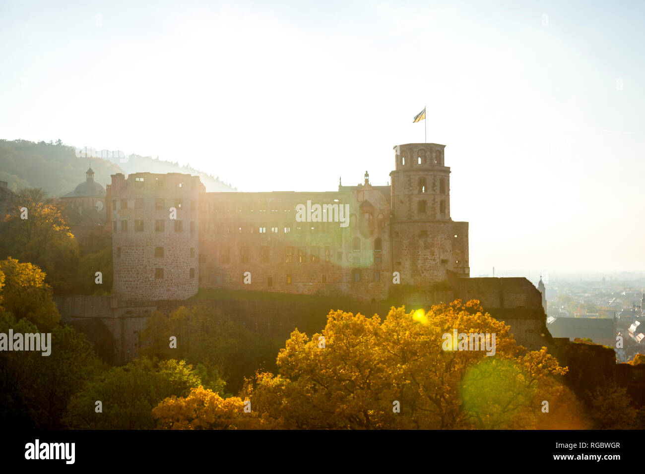 Allemagne, Bade-Wurtemberg, Heidelberg, Heidelberg, ruine du château Banque D'Images