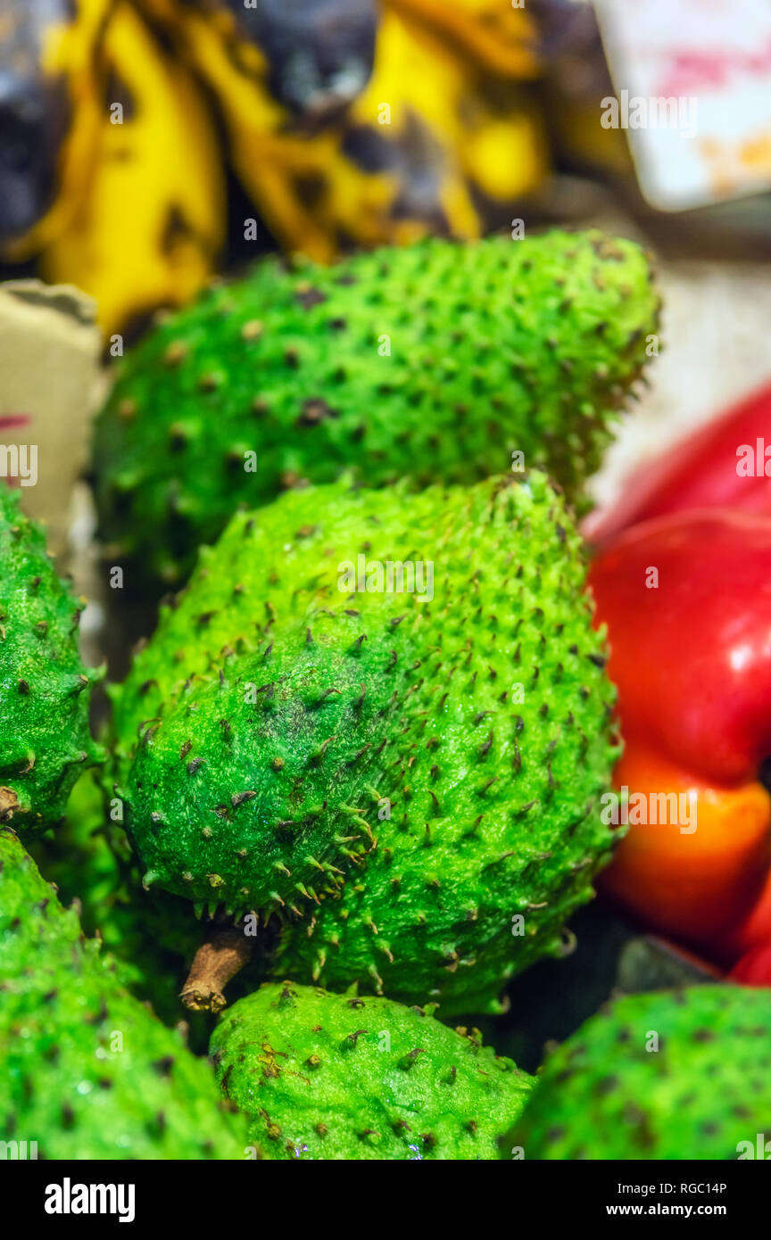 Nouvelle-calédonie, Nouméa, corossol, Annona muricata Banque D'Images