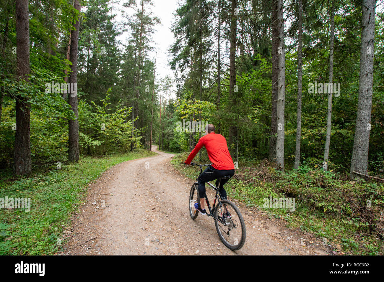 Le vélo de l'athlète dans les bois Banque D'Images