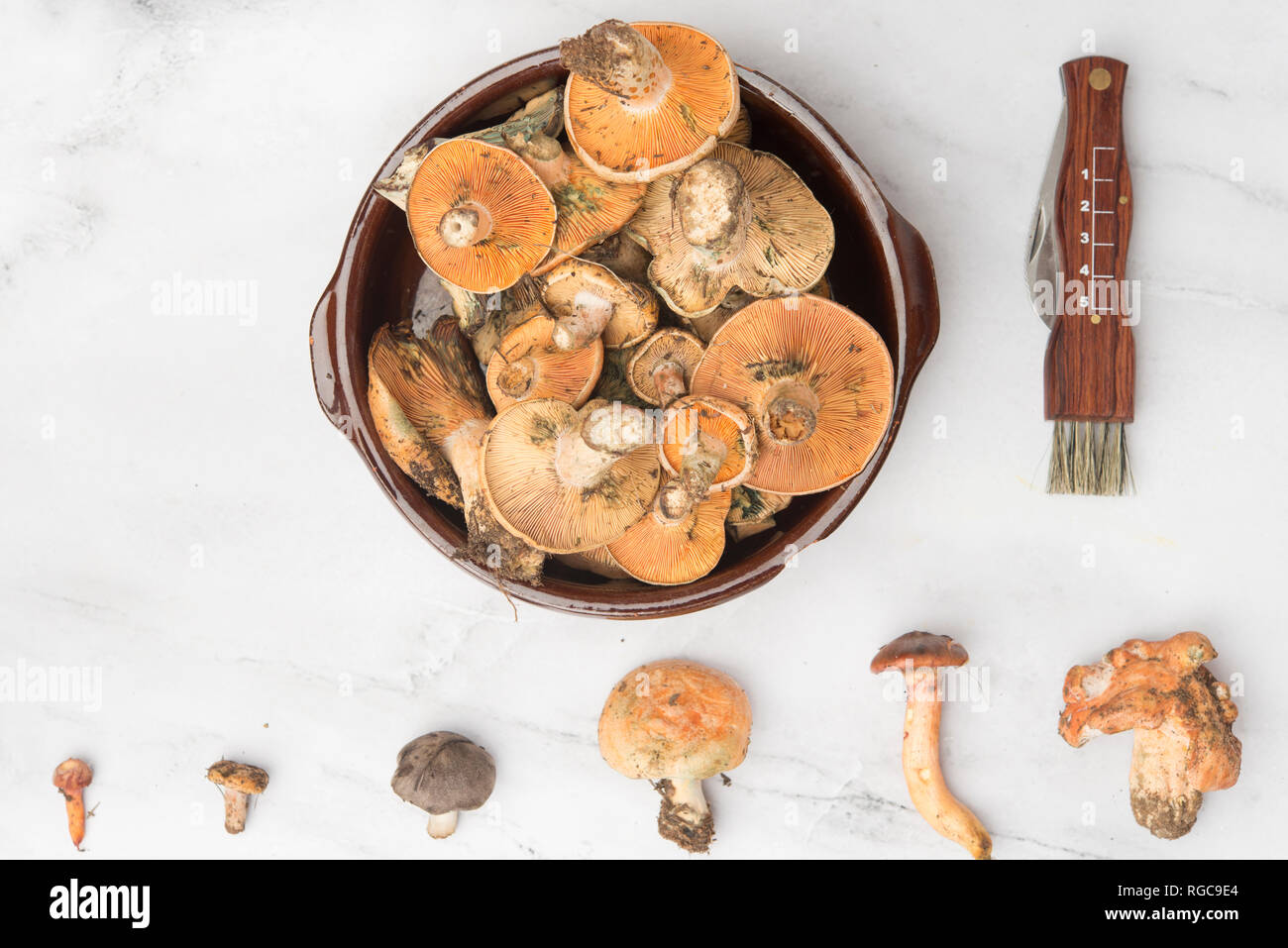 Différents champignons comestibles, vue du dessus sur du marbre Banque D'Images