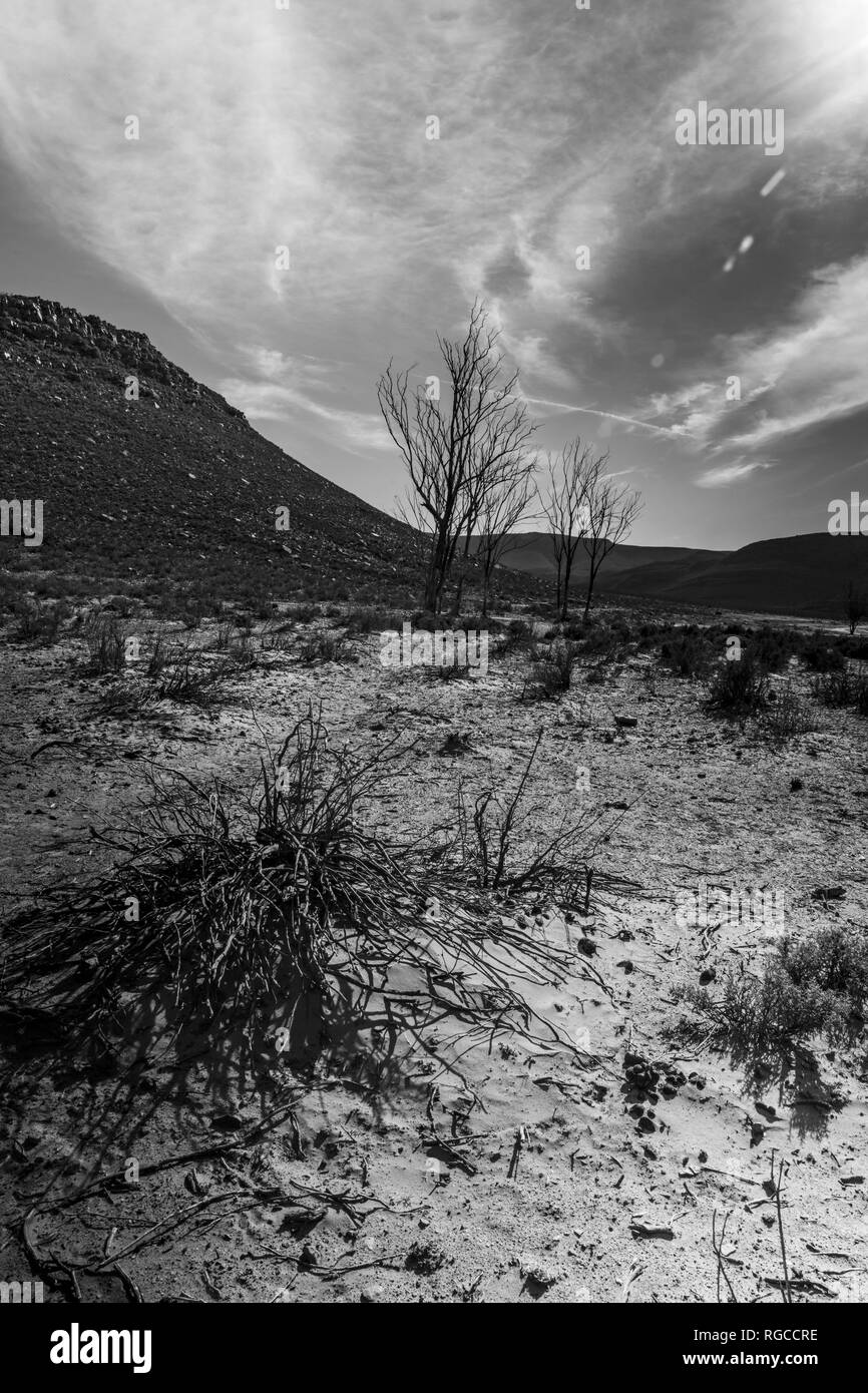 L'Afrique, Afrique du Sud, paysage, noir et blanc Banque D'Images