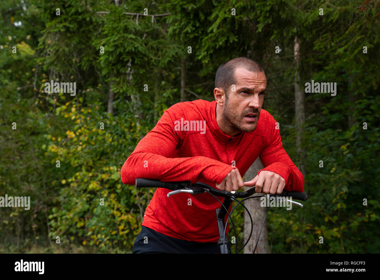 Le vélo de l'athlète dans les bois Banque D'Images