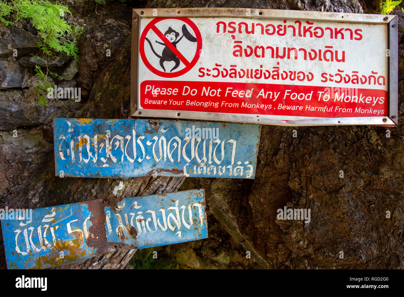 Le Tiger Cave Temple ou Wat Tham Suea est un temple bouddhiste près de la ville de Krabi à Krabi, Thaïlande. Un site sacré, il est connu pour le Tiger Paw prints dans Banque D'Images