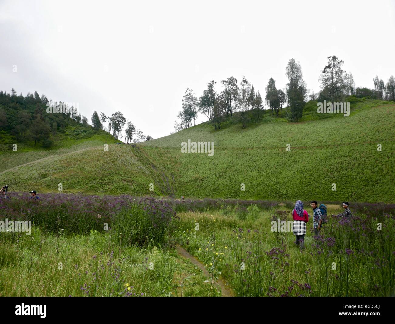 Le mont Semeru Randonnées Banque D'Images