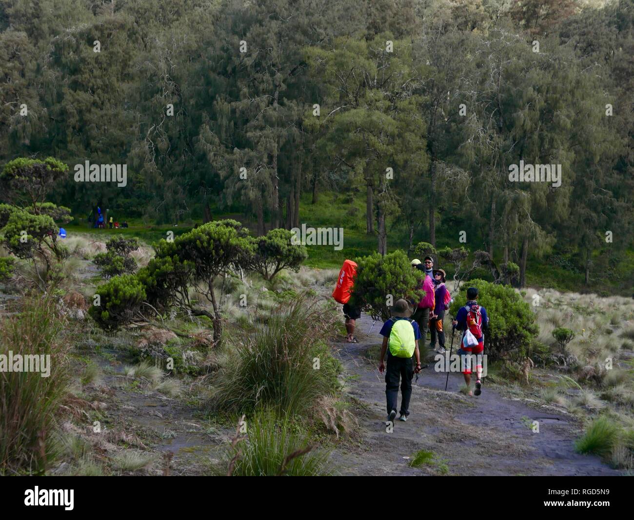 Le mont Semeru Randonnées Banque D'Images