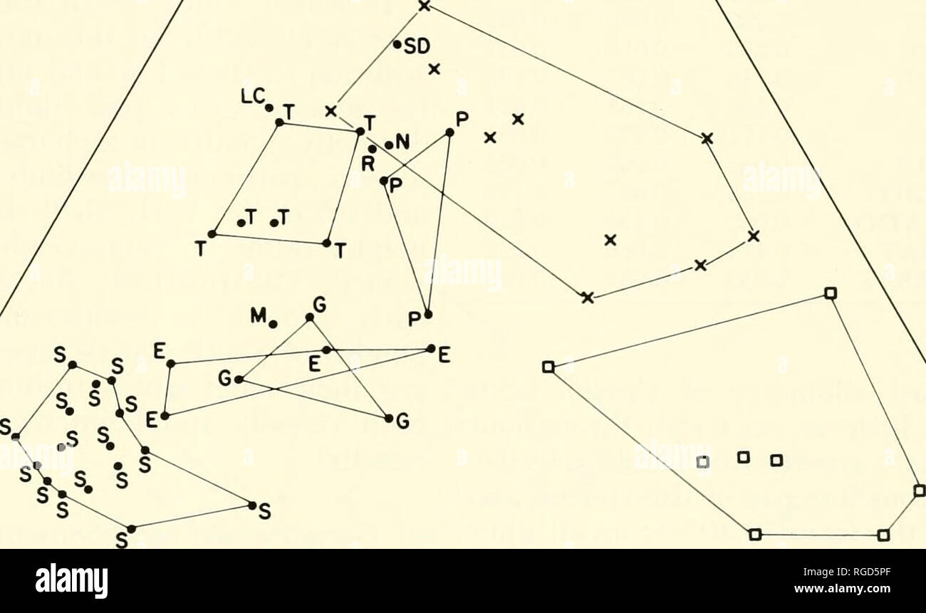 . Bulletin du Museum of Comparative Zoology de Harvard College. Zoologie. Cerion Turks et Caicos • Gould et Woodruff 331. La figure 5. Facteur de charges normalisées pour tous les vecteurs moyenne nonfossil échantillons sur les trois premiers axes varimax. Croix sont C. blandi, places C. lewisi, et points C. Regina. Pour l'île C. Regina identifiés comme : S, South Caicos ; E, East Caicos ; M, "Milieu", la Caïque N, North Caicos ; G, Grand Caicos Providenciales, p ; ; T, Grand Turk ; LC, Long Cay de Turcs Banque ; SD, sable Cay de Turcs Banque ; R, l'île inconnue. Les polygones convexes autour de tous les échantillons de C. lewi Banque D'Images