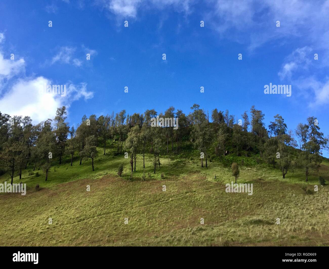 Le mont Semeru Randonnées Banque D'Images
