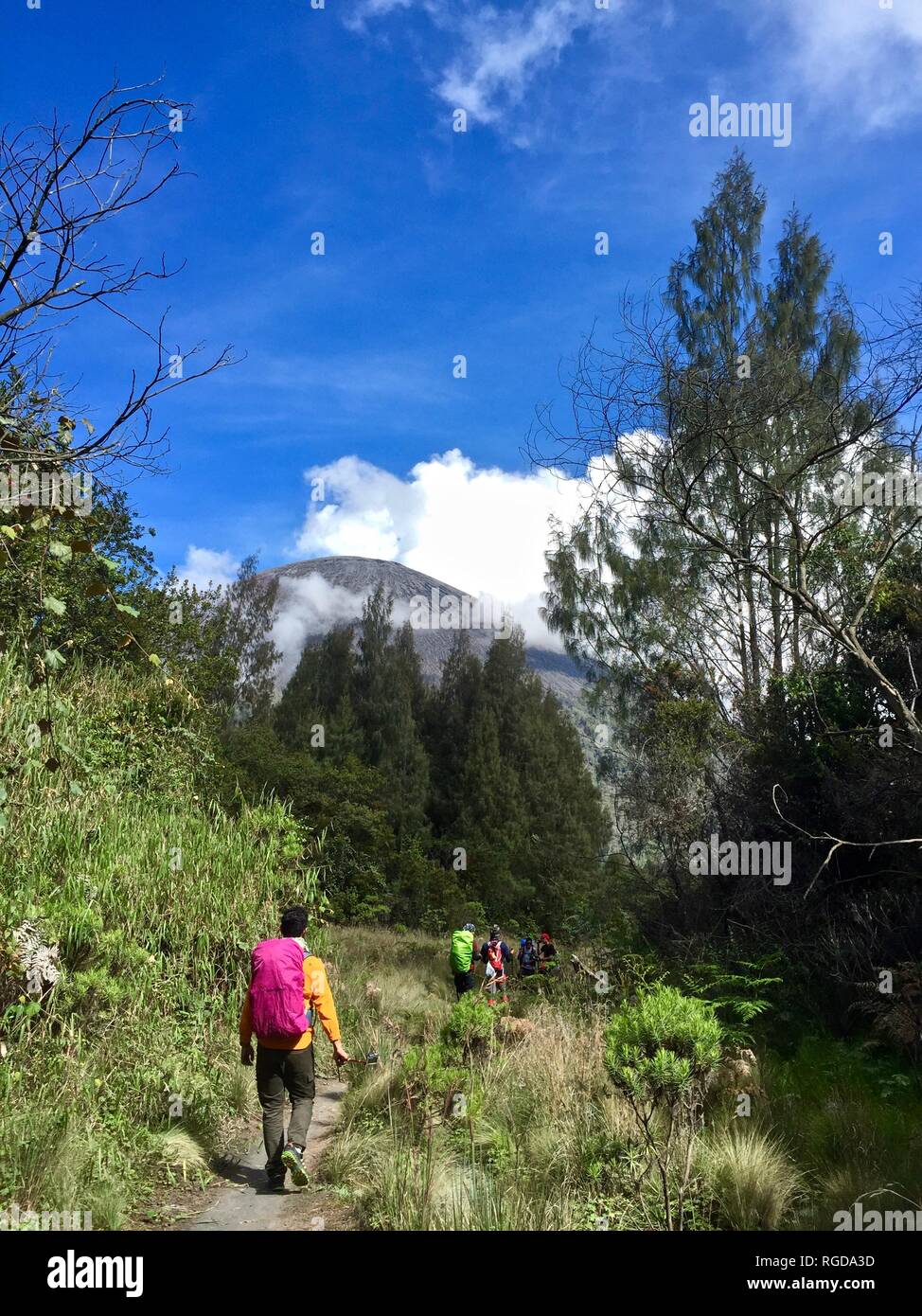 Parc national de Bromo Tengger Semeru Banque D'Images