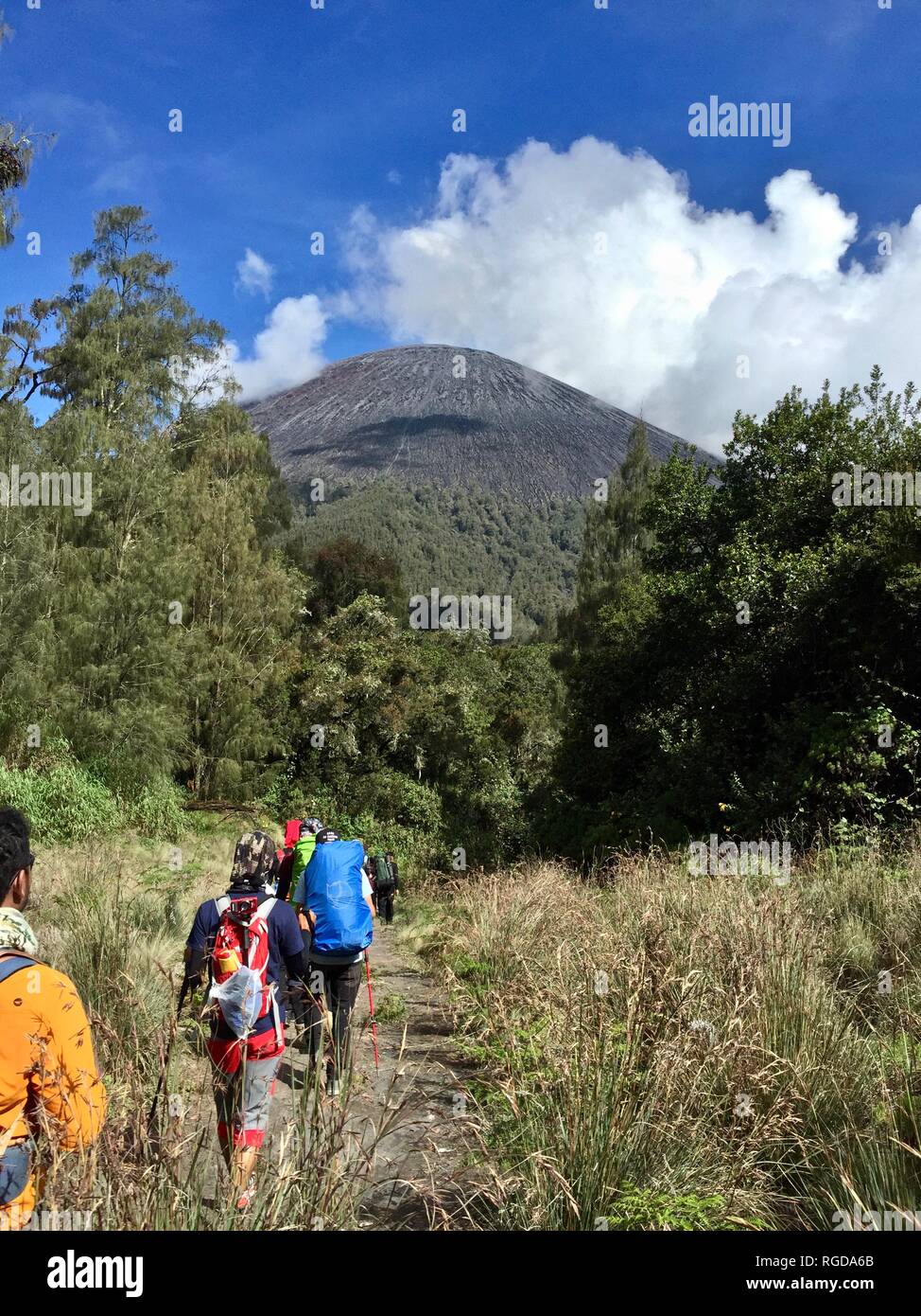 Parc national de Bromo Tengger Semeru Banque D'Images