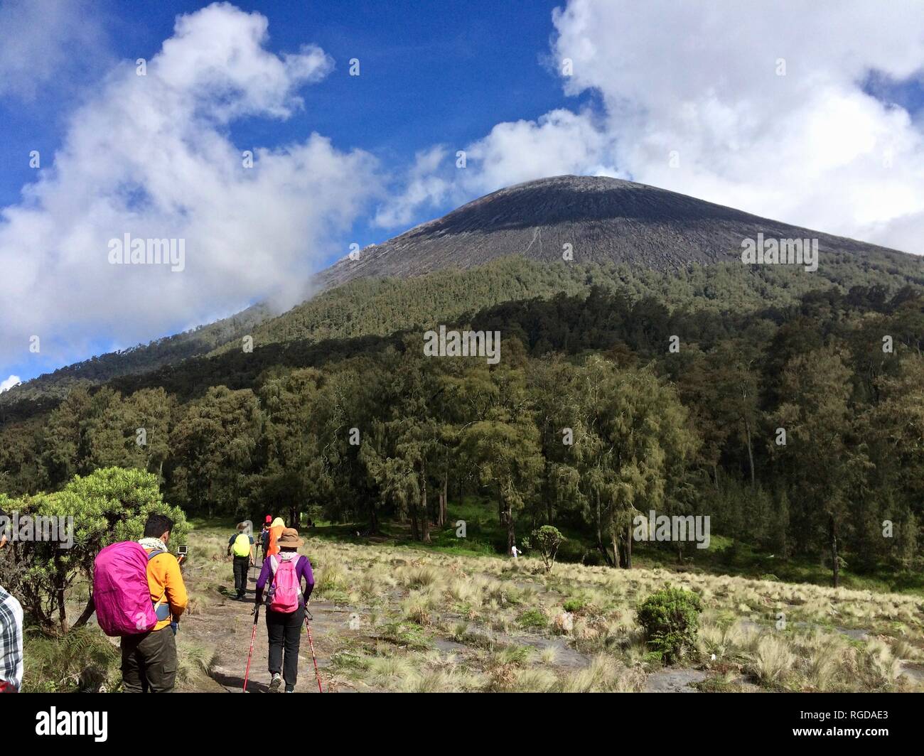 Parc national de Bromo Tengger Semeru Banque D'Images