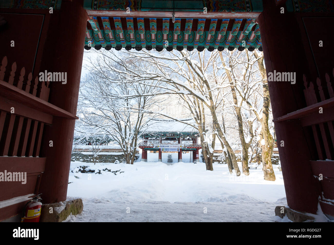 Les arbres couverts de neige et de temple Naejangsa Naejangsan national park, la Corée du Sud. Banque D'Images