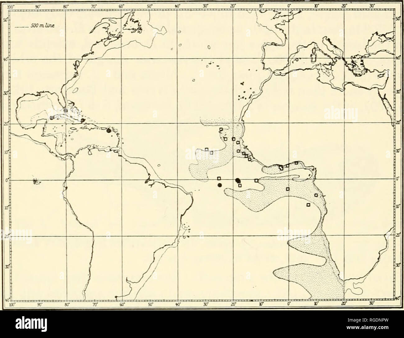 . Bulletin du Museum of Comparative Zoology de Harvard College. Zoologie. BULLETIN 410 : Museum of Comparative Zoology Cette espèce est la même que celle qu'Hsted "Diaphus (sensu Fraser- Brunner) sp. Une" par Backus et al., 1965. L'espèce est nommée en l'honneur du Dr E. Bertelsen, Directeur de l'Institut de Biologie Marine Danoise, Charlottenlund.. Fig. 6. Tableau montrant les stations qui berielseni Diaphus (solide) et Diaphus lewisi (rectangles) ont été prises. Le solide point à environ 17°N, 64°V, représente quatre stations de Dana (1191 I, 14 Décembre, 1921 ; 1256, IV, 4, mars 1922 ; 1257 Banque D'Images