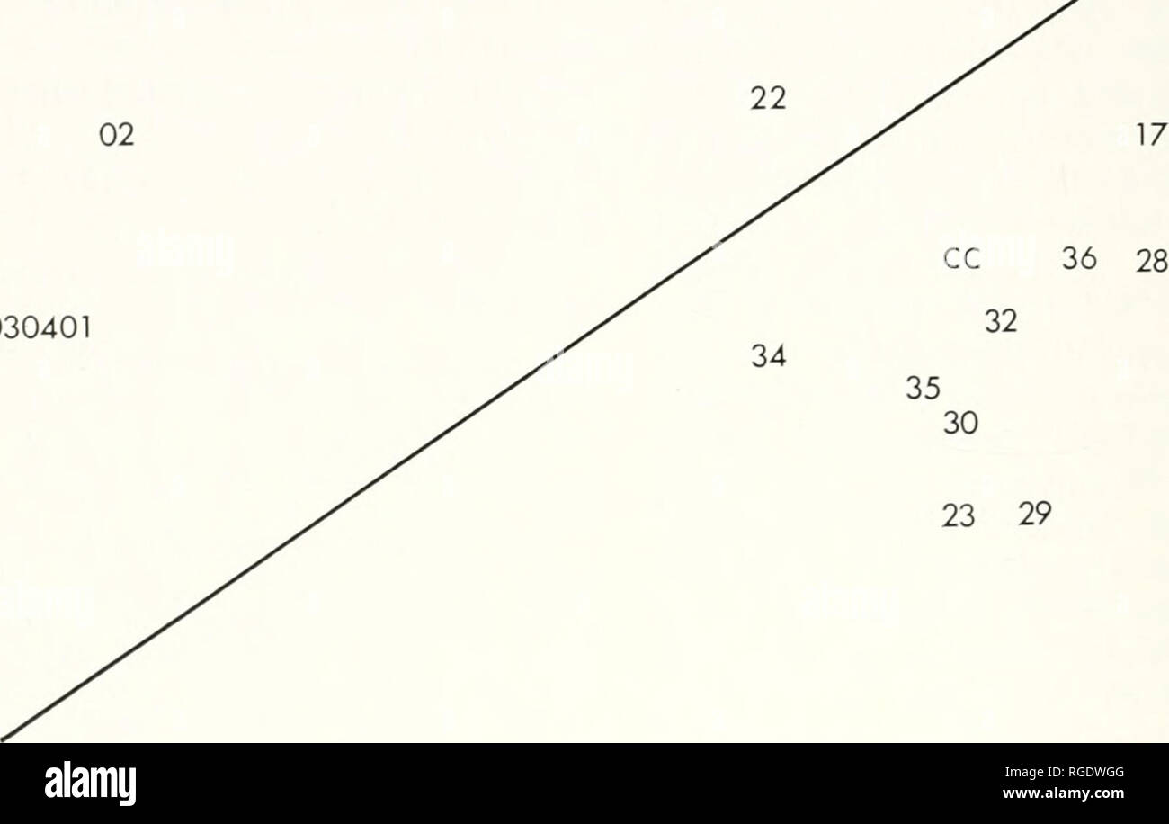 . Bulletin du Museum of Comparative Zoology de Harvard College. Zoologie. Bulletin Mmcuin Conipaiative 474 de zoologie, 138, Xo. 7 0,83 0,43 0 01 .. X &Lt ; 19 10 07 15 AA BB 2606 0908 2724 18 14 20 13 33 v/. 03040105  +â â 0. 73 AXE 2 0,52 0,31 0,09 Figure 17. Sur terrain de tous les axes varimax P. bermudens s/échantillons. AA signifie 11 et 21, 16 et 25 pour BB, CC pour 12 et 31. Ligne diagonale sépare tous les pédomorphes non (ci-dessus) à partir de toutes les pédomorphes (ci-dessous). morph atteint une valeur de cette variable est aussi bas que celui de P. h. fasoJti (etc. pour l'ensemble des caractéristiques distinguant formes pédo- Banque D'Images