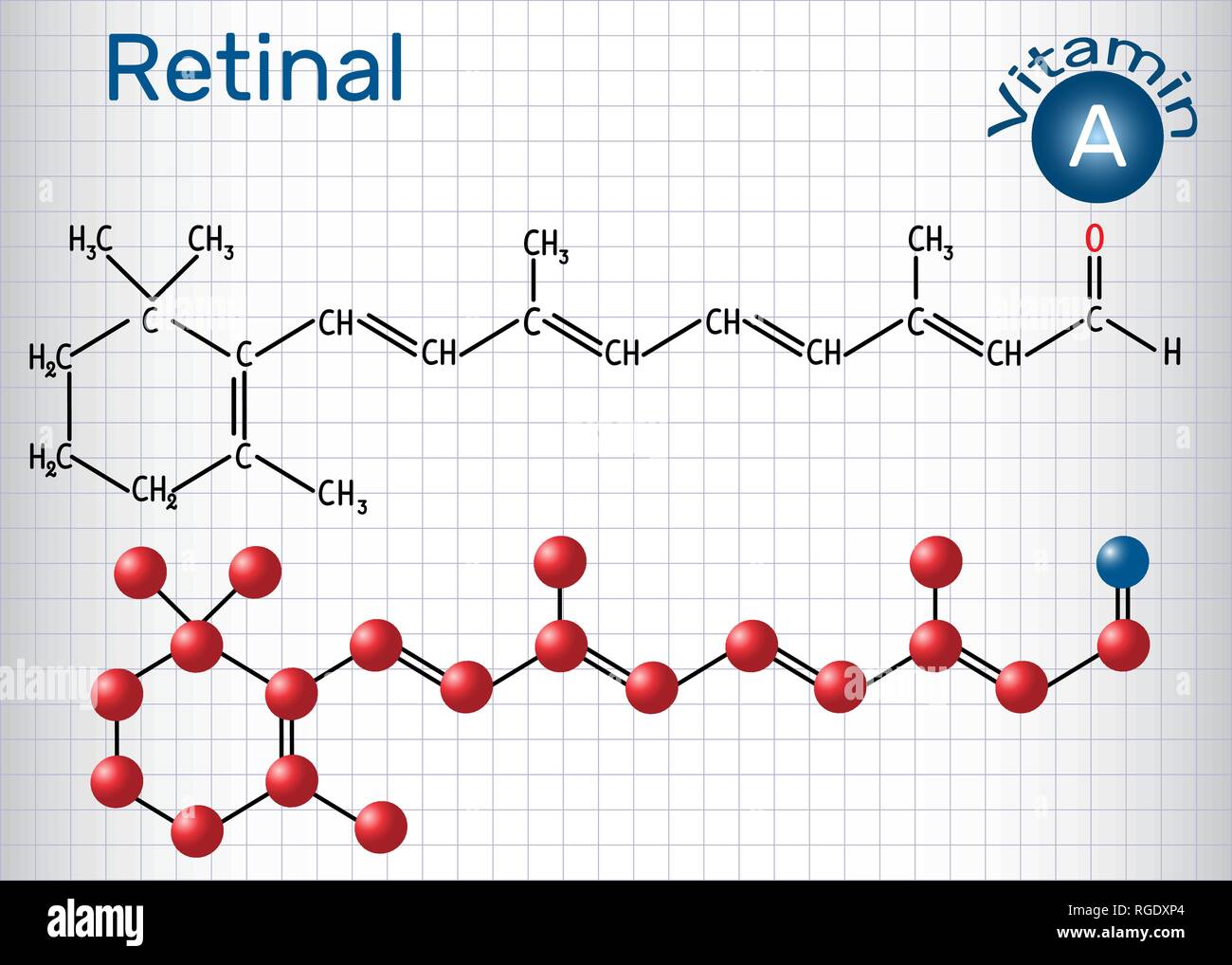 Rétinal (rétinaldéhyde) est la vitamine A. formule chimique structurale et molécule modèle. Feuille de papier dans une cage. Vector illustration Illustration de Vecteur