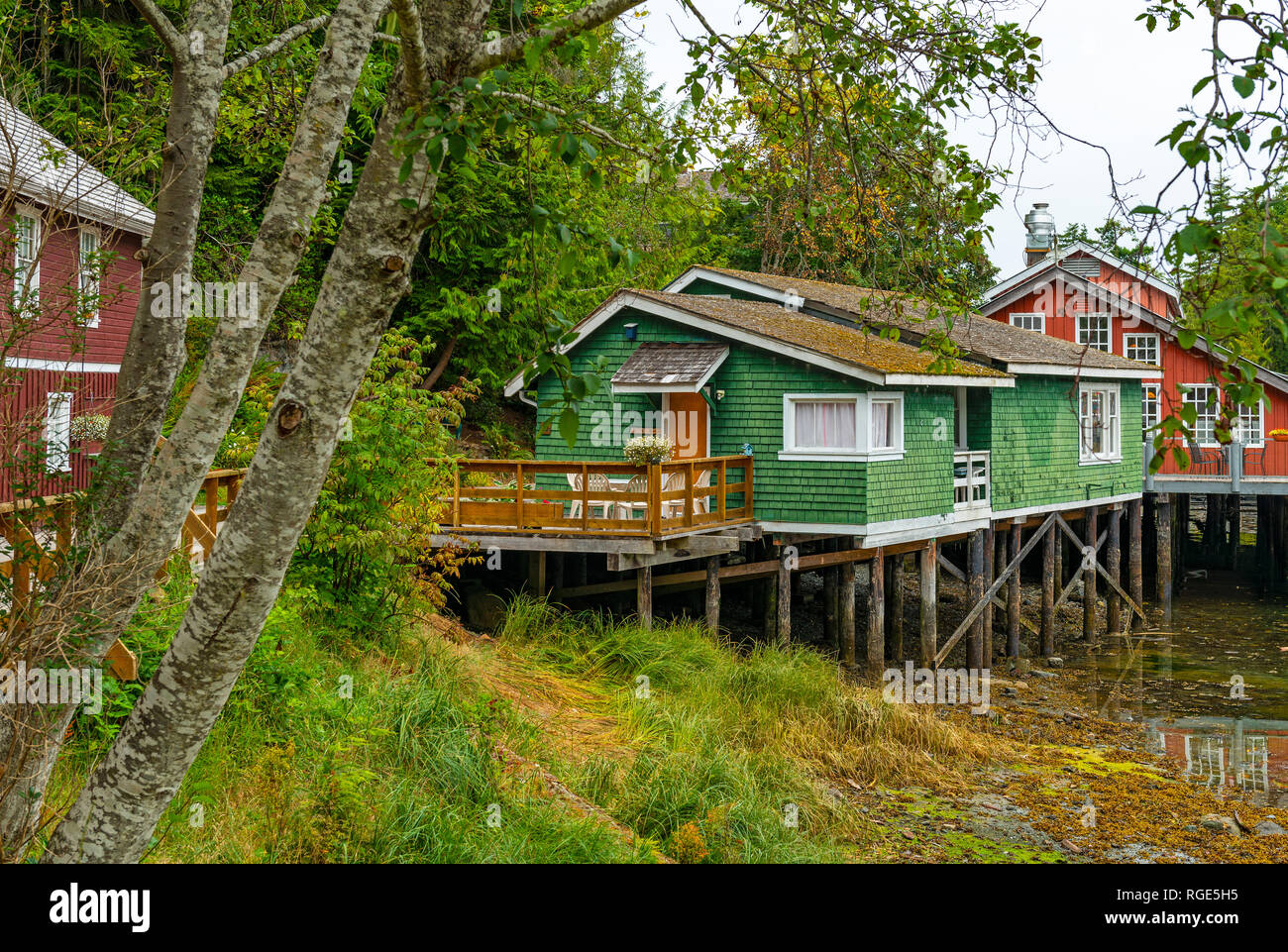 Paysage urbain de l'architecture de la ville de Telegraph Cove, avec des maisons sur pilotis en bois coloré, l'île de Vancouver, Colombie-Britannique, Canada. Banque D'Images