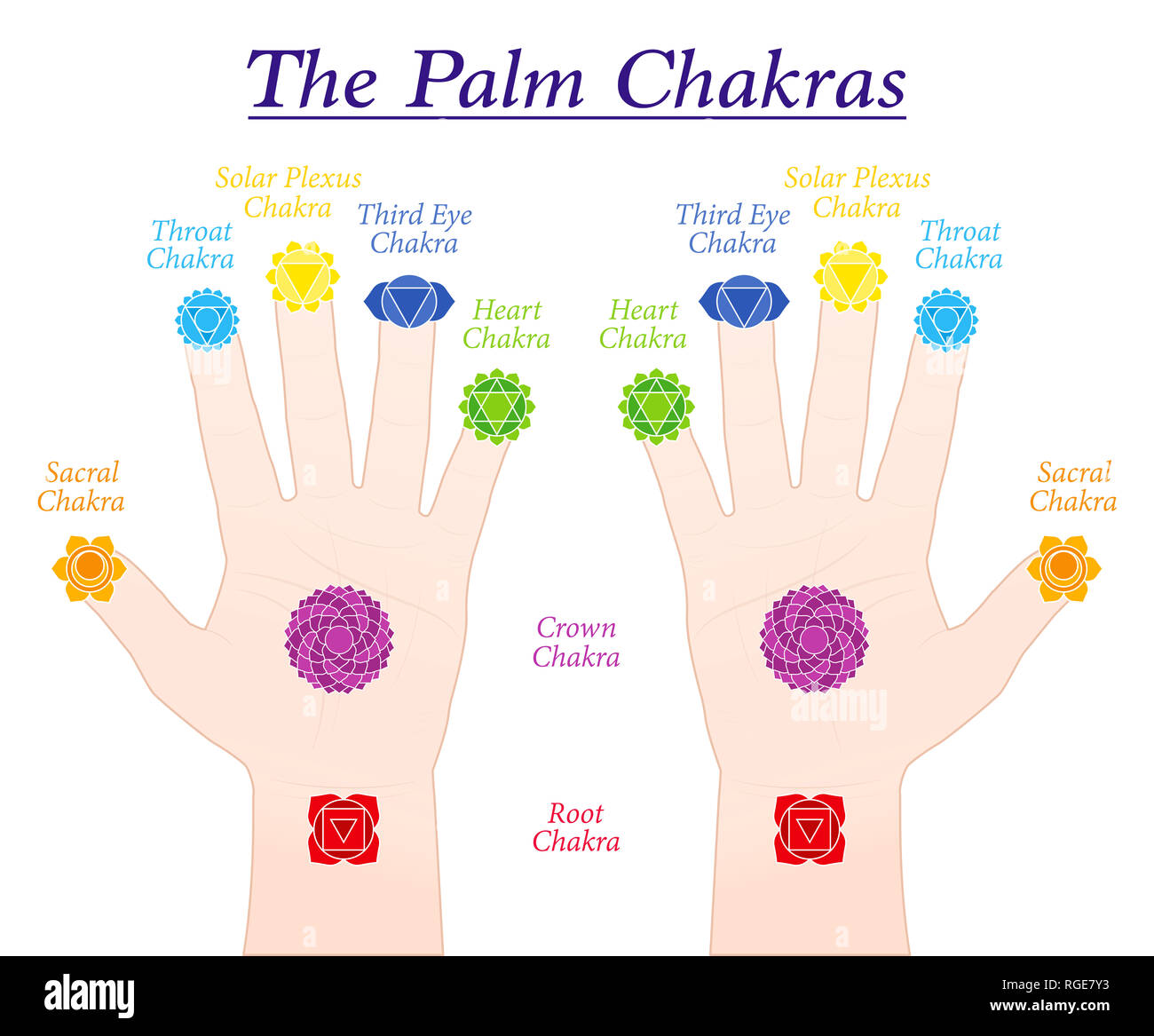 Chakras Palm. Les symboles et les noms des principaux chakras chez les parties correspondantes des deux mains - illustration sur fond blanc. Banque D'Images