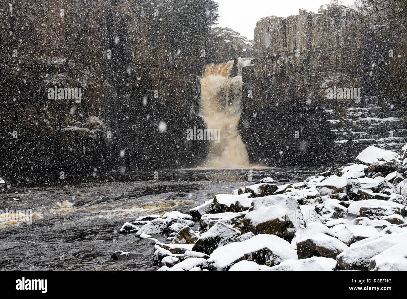Force élevée, Middleton-in-Teesdale, comté de Durham, Royaume-Uni. Le mardi 29 janvier 2019. Météo britannique. Les fortes chutes de neige crée une vue spectaculaire comme le fleuve Tees tonnerres plus de force très près de Middleton-in-Teesdale aujourd'hui. Crédit : David Forster/Alamy Live News Banque D'Images
