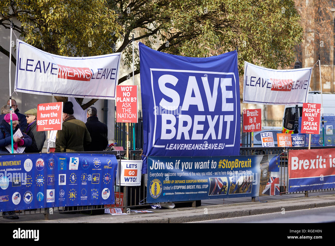 Londres, Royaume-Uni. - Jan 29, 2019 Brexit : campagne en Westmnster. Crédit : Kevin J. Frost/Alamy Live News Banque D'Images
