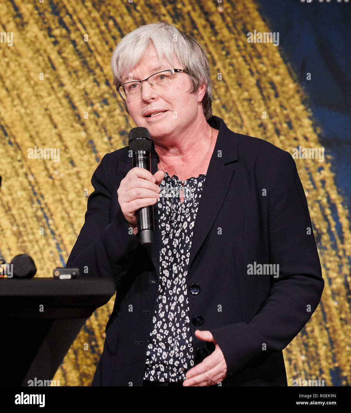 Berlin, Allemagne. 29 janvier, 2019. Barbara Göbel, Directeur de l'Institut ibéro-américain, prend la parole au Pergamonmuseum à la réception annuelle de la Fondation du patrimoine culturel prussien. La réception annuelle de la Fondation du patrimoine culturel prussien aura lieu dans le Musée de Pergame en vue de les 2019 programmes annuels. Credit : Annette Riedl/dpa/Alamy Live News Banque D'Images