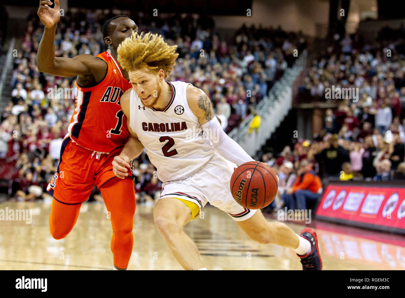 Columbia, SC, États-Unis d'Amérique. 22 janvier, 2019. Auburn Tigers guard Jared Harper (1) pressions Caroline du Sud garde Gravett Gamecocks Hassani (2) comme il conduit à le panier dans la partie de basket-ball de NCAA de Colonial Life Arena de Columbia, SC. (Scott Kinser/Cal Sport Media) Credit : csm/Alamy Live News Banque D'Images