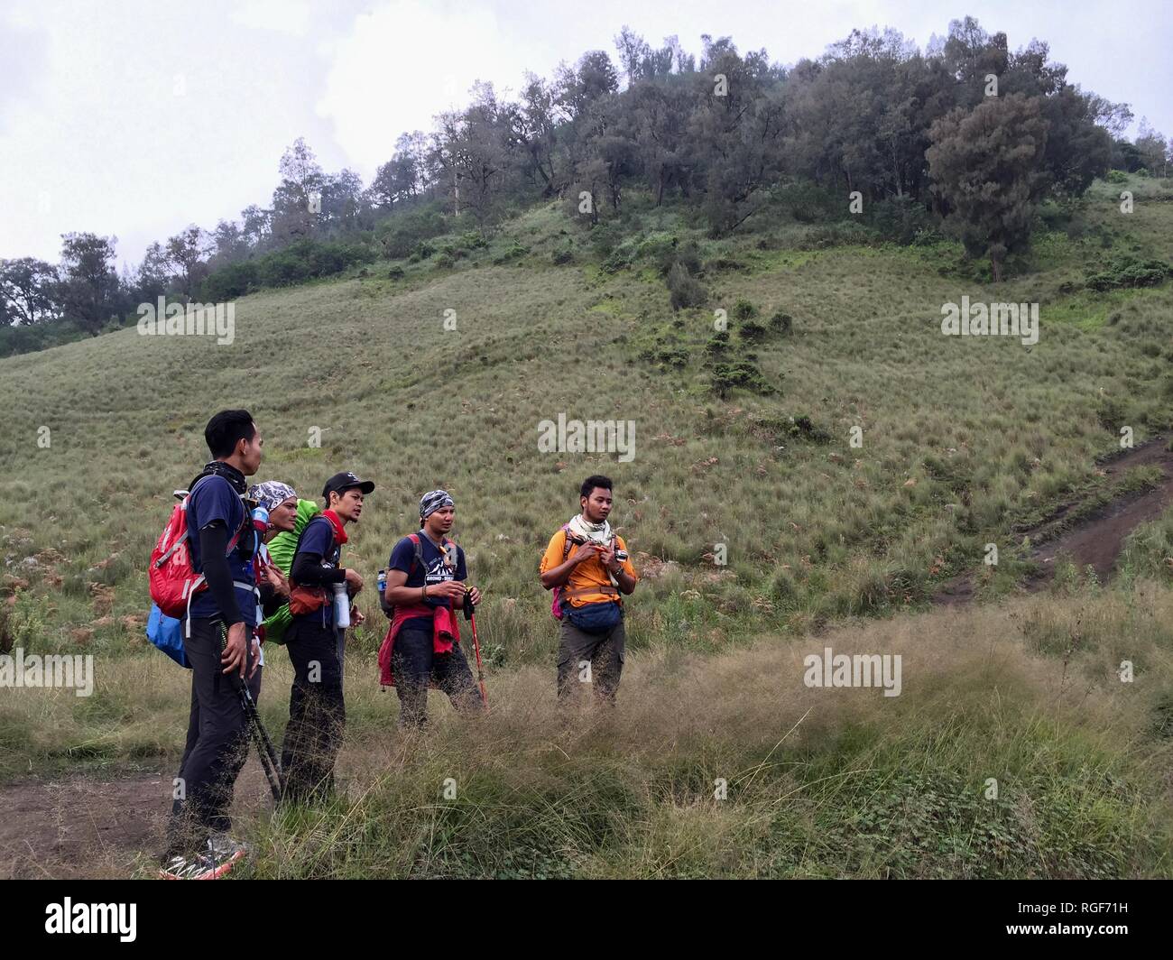 Parc national de Bromo Tengger Semeru Banque D'Images