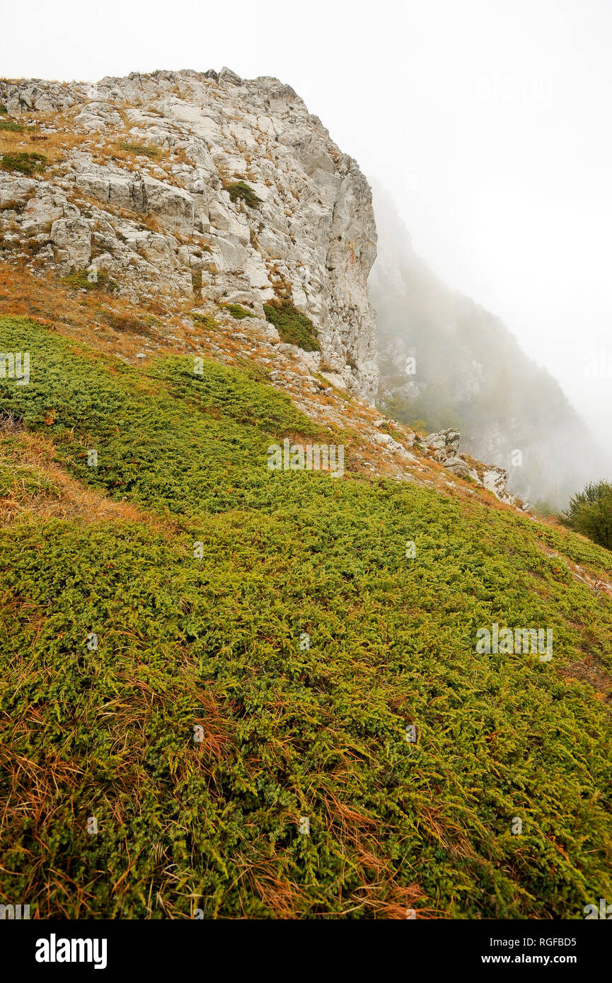 Angar-Burun mountain (1453 m au-dessus du niveau de la mer) dans Anharskyy Chatyr-Dag près de massive Pereval (Angarskyi Pass), Crimée, Ukraine. 3 octobre 2008 © Wojci Banque D'Images