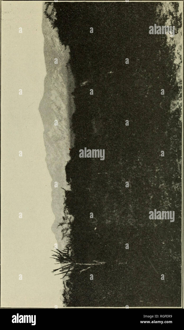 . Bulletin de la Société géologique d'Amérique. La géologie. 716 000 F. MATHER FRONT RANGES DES ANDES. •^ » ^ o u e • ed un&gt ; sa ^ K5 a o c "M o £ '&lt ; 1 &gt ; CD H £&gt ; O. Veuillez noter que ces images sont extraites de la page numérisée des images qui peuvent avoir été retouchées numériquement pour plus de lisibilité - coloration et l'aspect de ces illustrations ne peut pas parfaitement ressembler à l'œuvre originale.. Société géologique d'Amérique. [New York : La société] Banque D'Images
