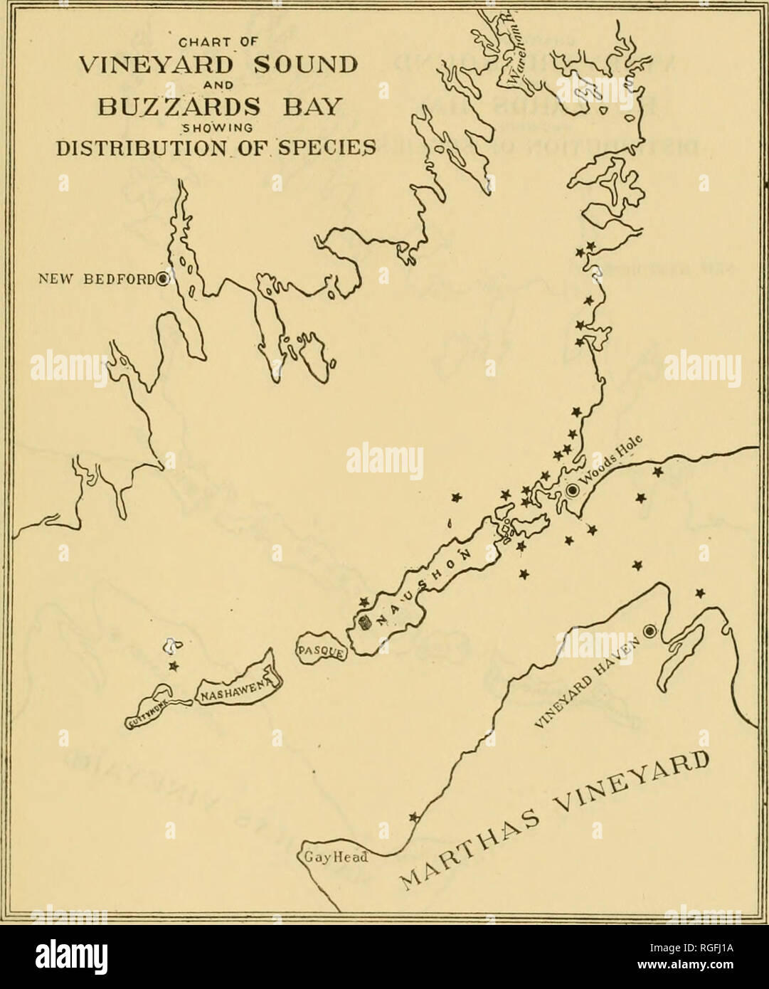 . Bulletin du Bureau des pêches. La pêche, la pisciculture. Commission biologique du Woods Hole et environs. 5". Graphique 241.-Bometiana Griffithsia Farlow. Près de distribution locale limitée à des eaux plus chaudes de Buzzards Bay et de son vignoble.. Veuillez noter que ces images sont extraites de la page numérisée des images qui peuvent avoir été retouchées numériquement pour plus de lisibilité - coloration et l'aspect de ces illustrations ne peut pas parfaitement ressembler à l'œuvre originale.. United States. Bureau des pêches. Washington, D. C. : Govt. L'impression. L'arrêt. Banque D'Images