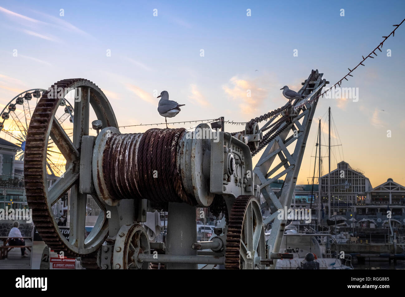 Mouettes sur crane dans le port au coucher du soleil Banque D'Images