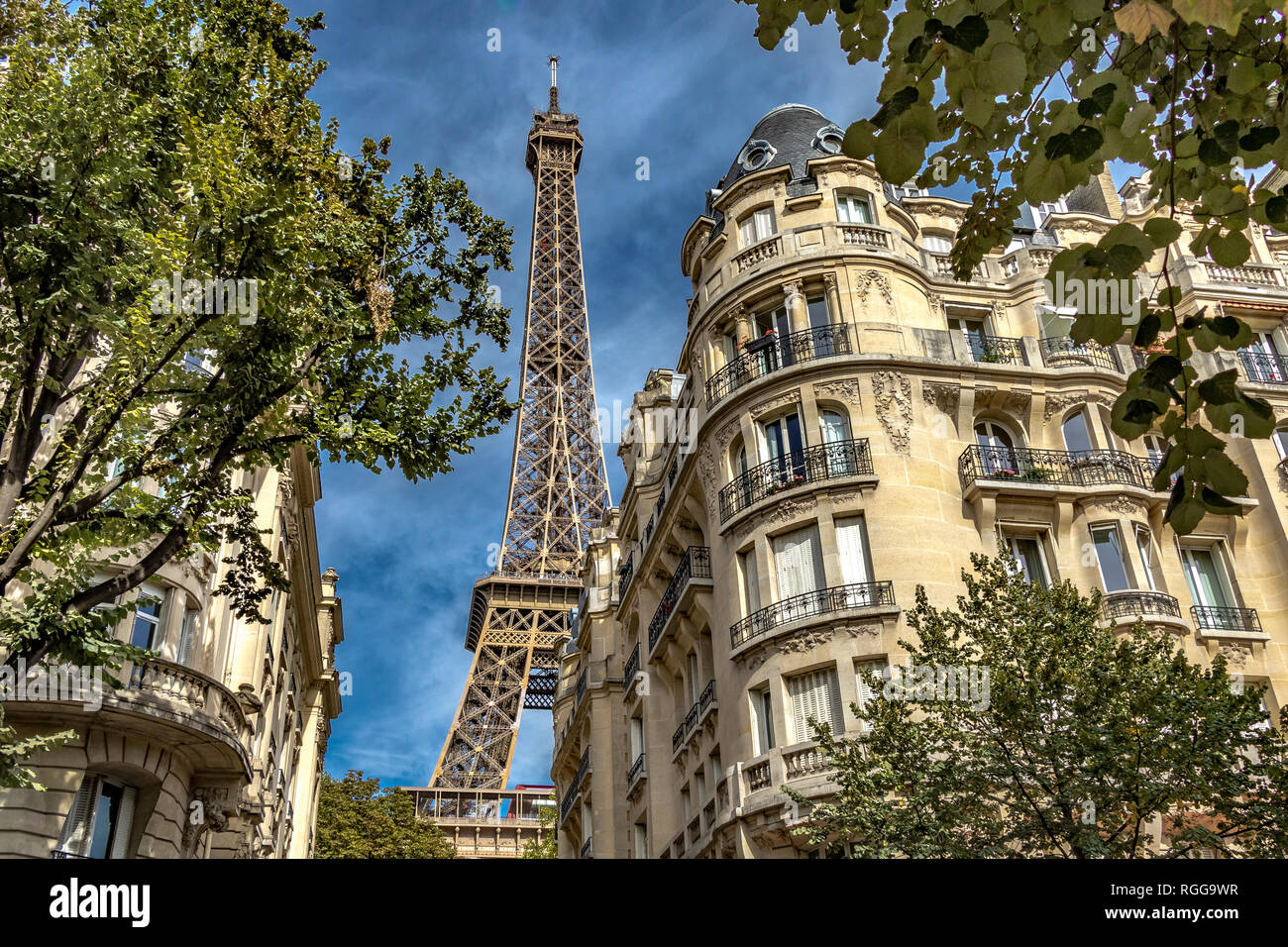Tour Eiffel appartement parisien élégant s'élever au-dessus des bâtiments, Rue de Buenos Ayres, Paris , France Banque D'Images