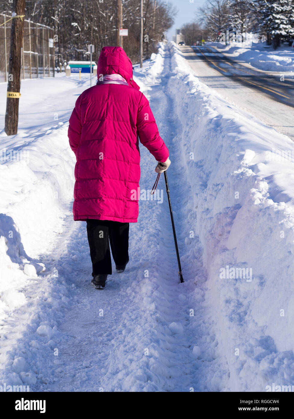 Senior Woman Winter Walk : une femme dans un manteau rose avec une canne de  marche sur un chemin enneigé labouré récemment Photo Stock - Alamy
