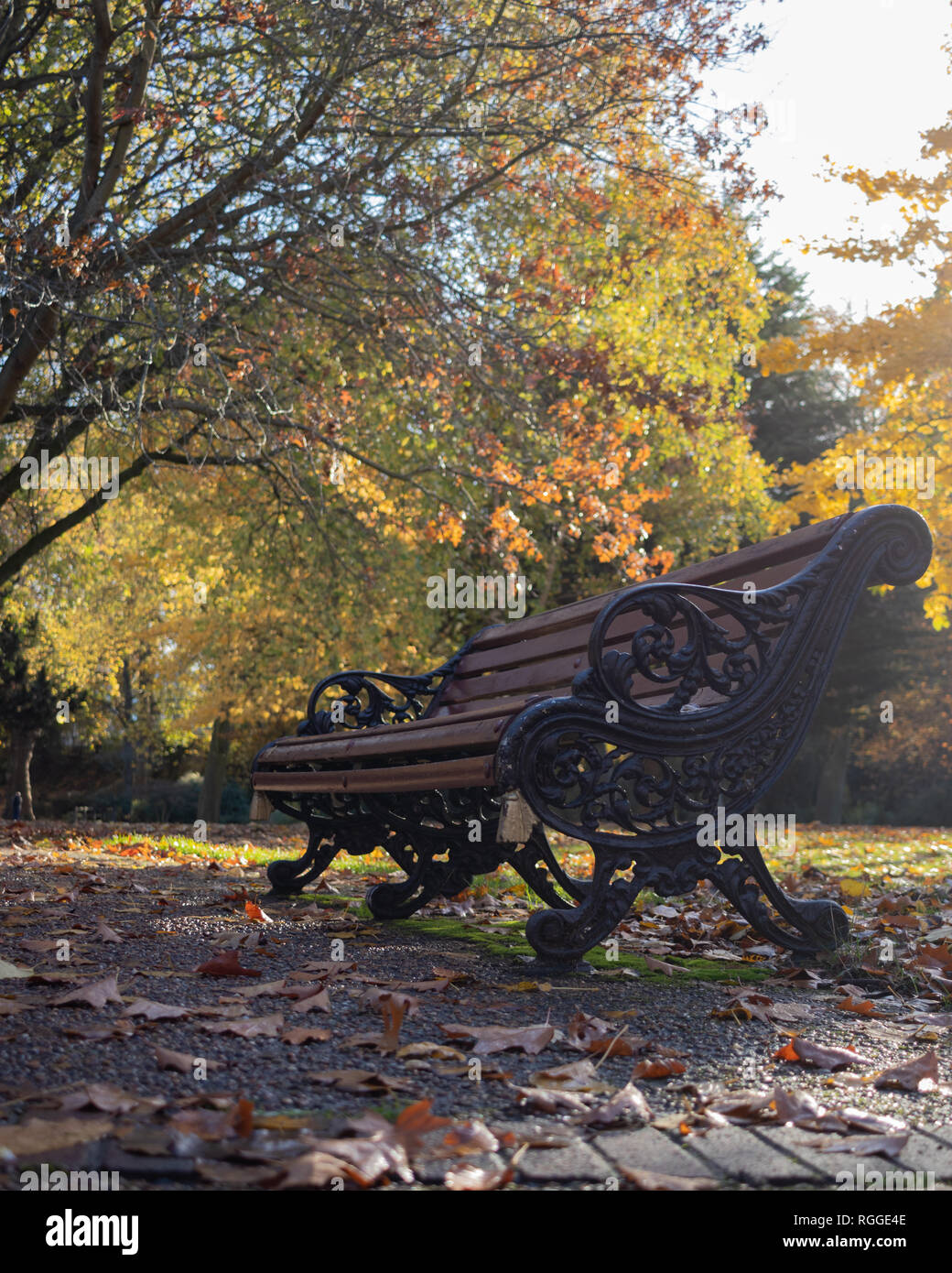 Victorian park bancs sous un arbre d'automne avec les feuilles colorées qui l'entourent Banque D'Images