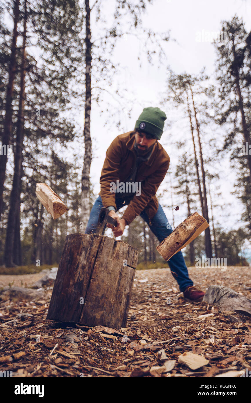 Young man chopping woog dans la forêt Banque D'Images