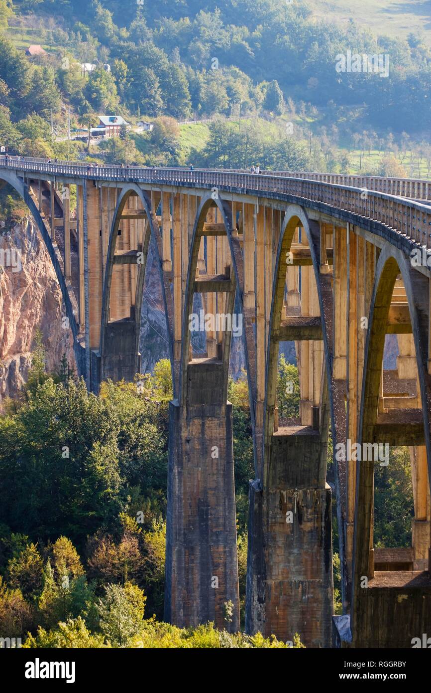 Durdevica Tara Tara, pont, Gorge, parc national de Durmitor, Pljevlja Monténégro, Province Banque D'Images
