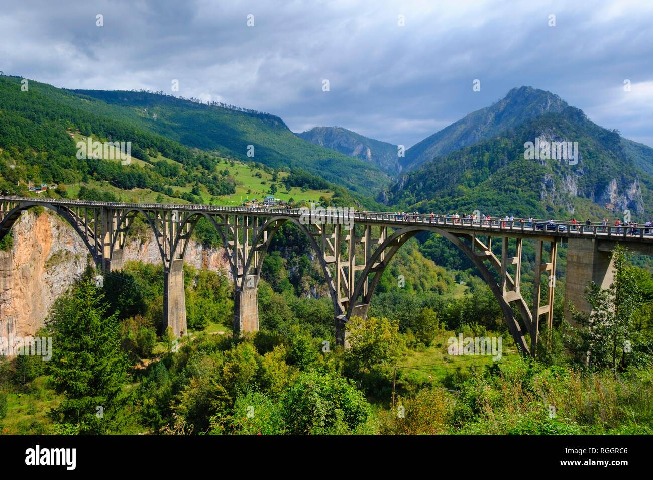 Durdevica Tara Tara, pont, Gorge, parc national de Durmitor, Pljevlja Monténégro, Province Banque D'Images