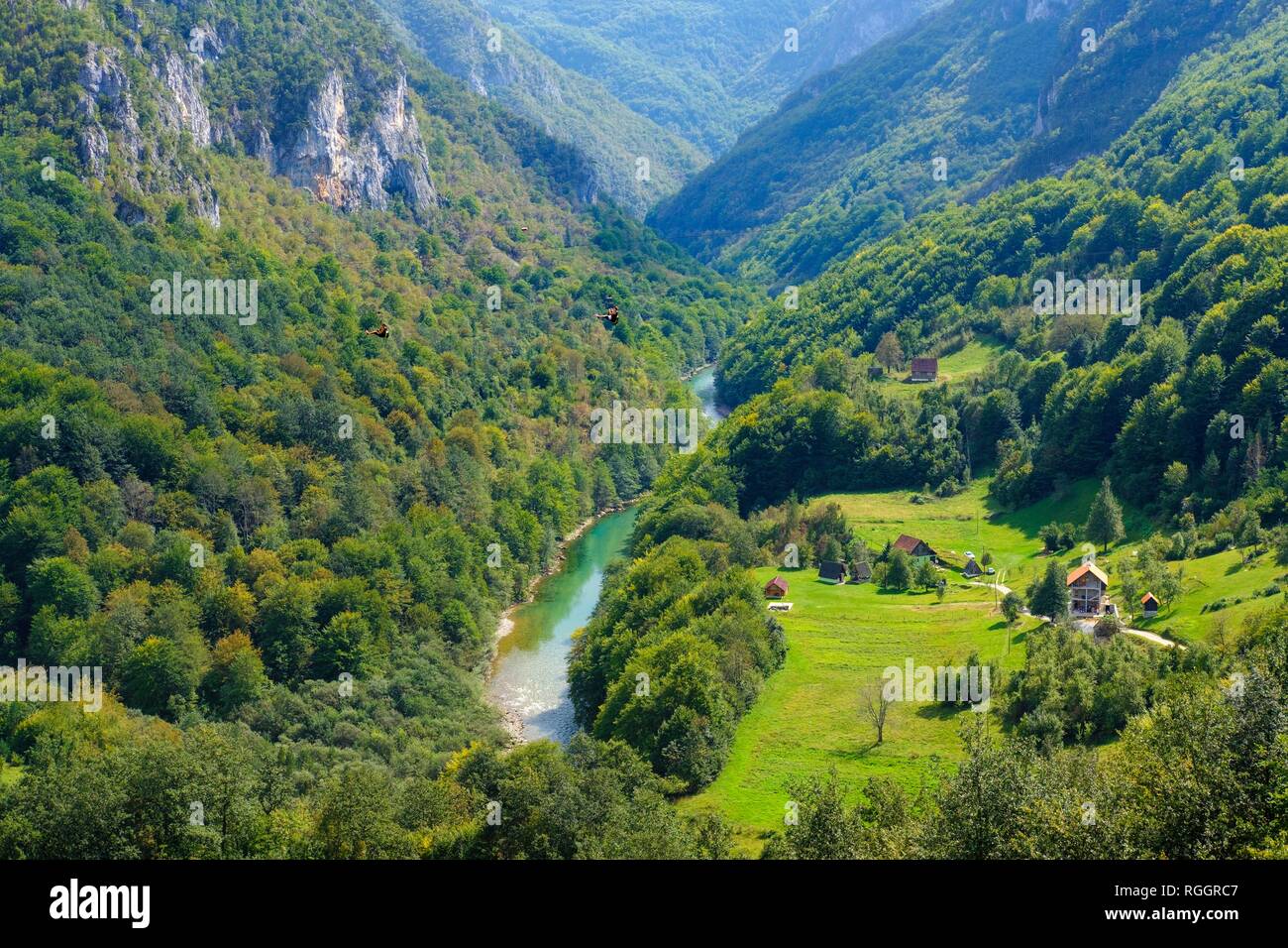 Gorges de la rivière Tara, Tara, Vue du pont à Durdevica Tara, parc national de Durmitor, Pljevlja Monténégro, Province Banque D'Images