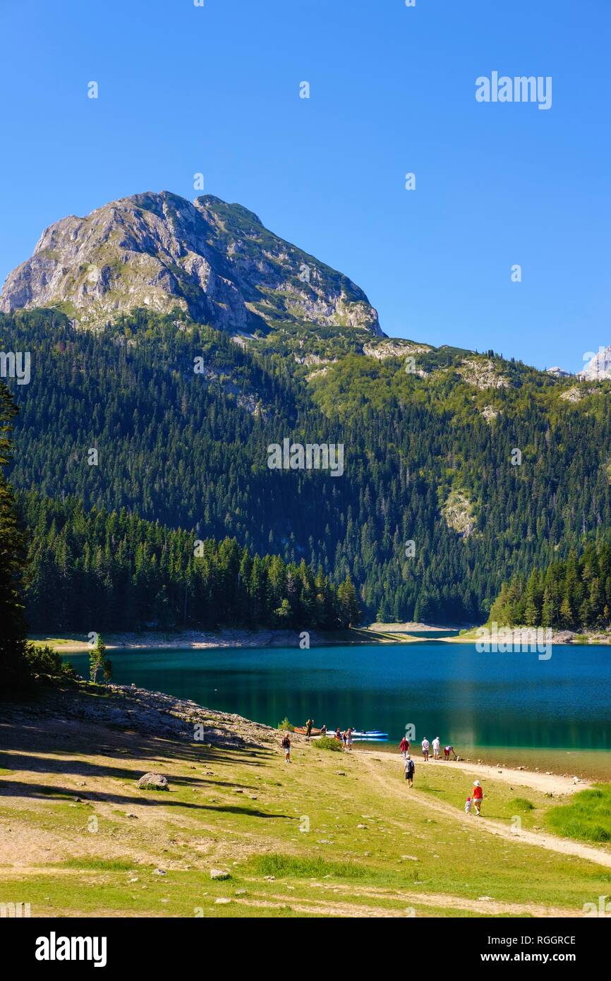 Le Lac Noir, Crno jezero, parc national de Durmitor Zabljak, Province, Monténégro Banque D'Images