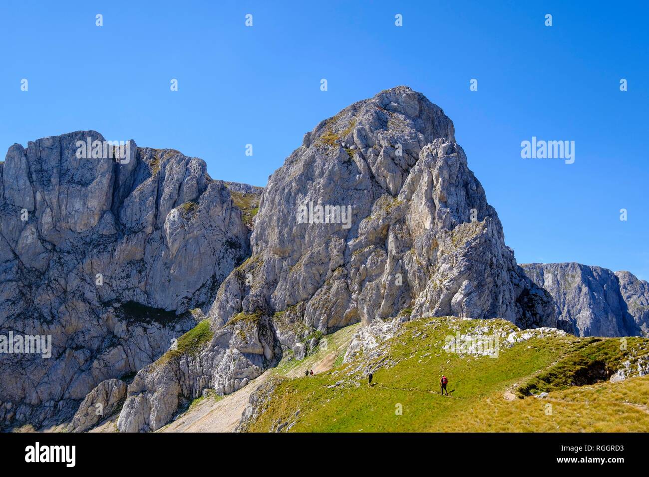 Sljeme, montagne, Massif du Durmitor Parc national de Durmitor, près de Zabljak, Montenegro Banque D'Images