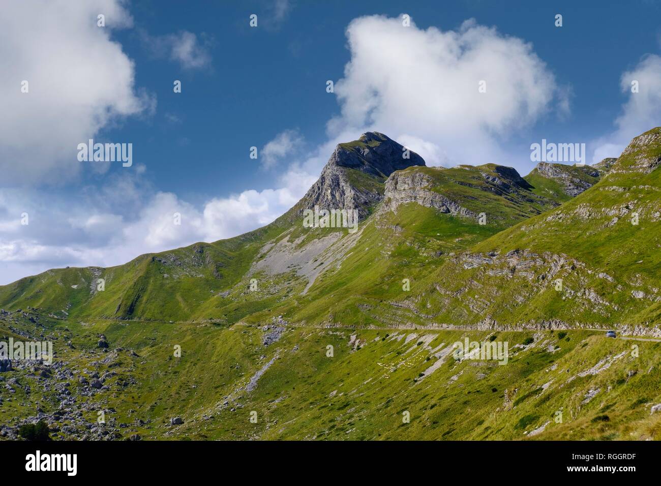 Mountain Uvita Greda, pass road dans le massif du Durmitor, parc national de Durmitor, près de Zabljak, Montenegro Banque D'Images