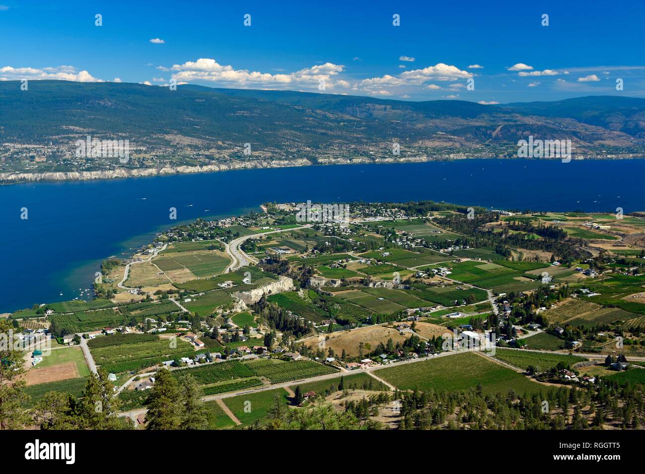 Fruits et zone viticole près de Summerland au Lac Okanagan, Summerland, Okanagan Valley, British Columbia, Canada Banque D'Images
