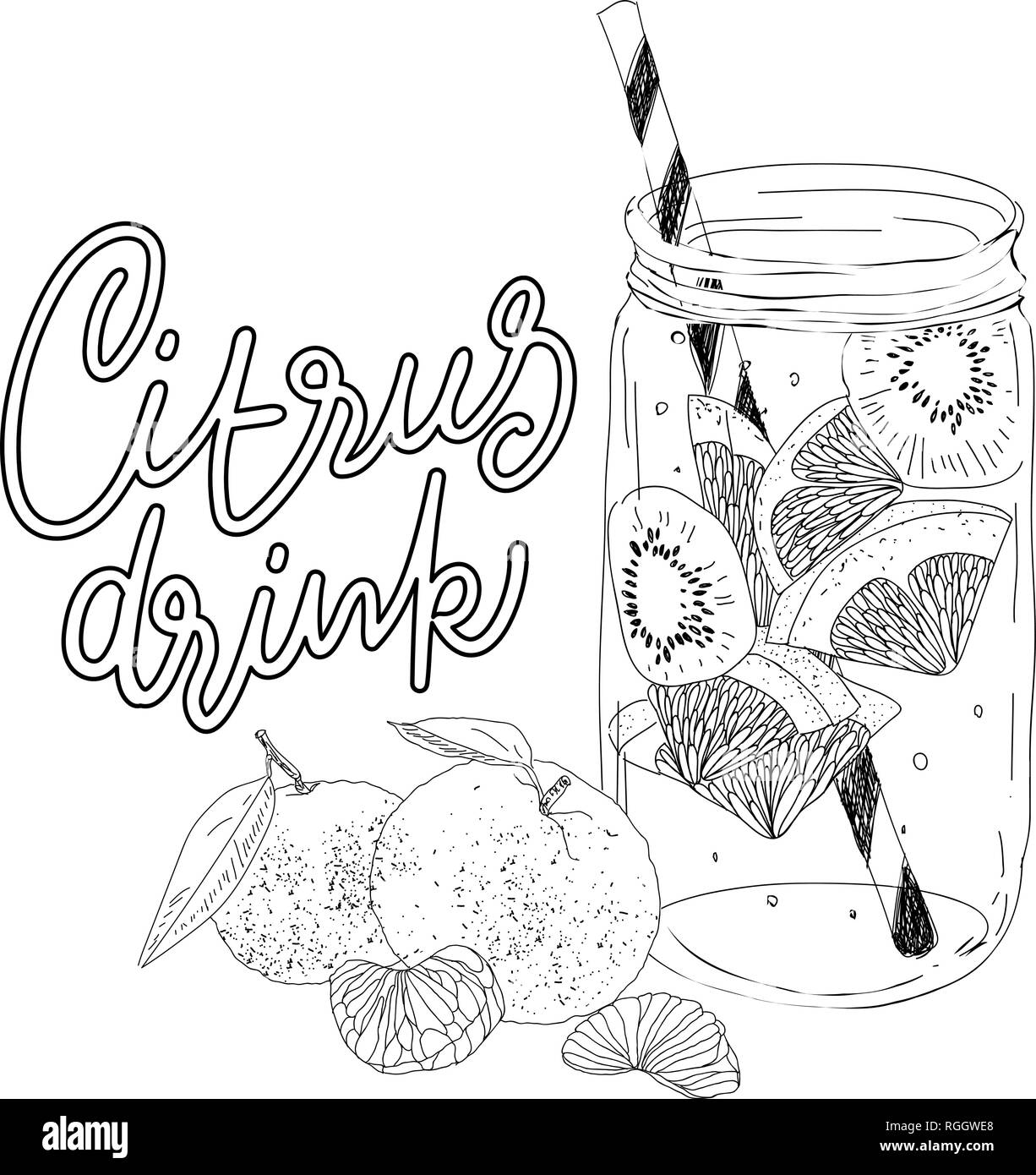 Hand Drawn Vector Boire Avec Cittrus La Glace En été Citron