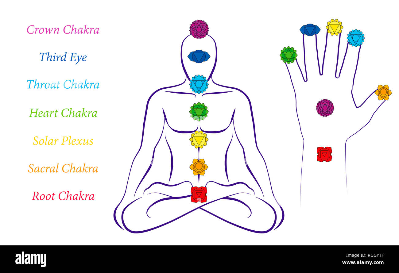 Corps et chakras la main d'un homme - Illustration d'un méditant mâle en position de yoga avec les sept chakras principaux et leurs noms. Banque D'Images