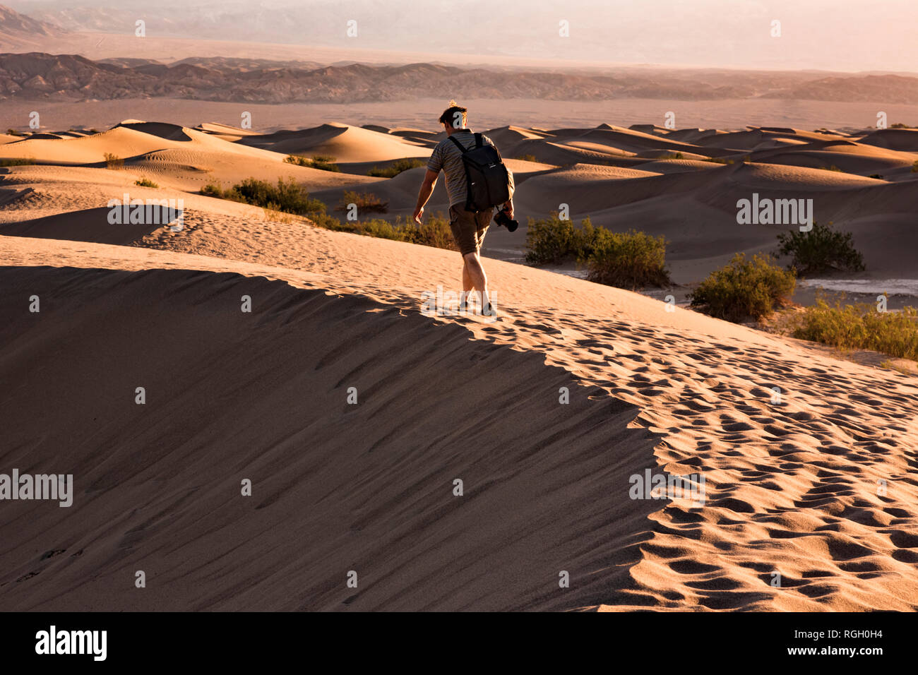 USA, californien, la vallée de la mort, Death Valley National Park, Mesquite Flat dunes de sable, l'homme marche sur dune Banque D'Images